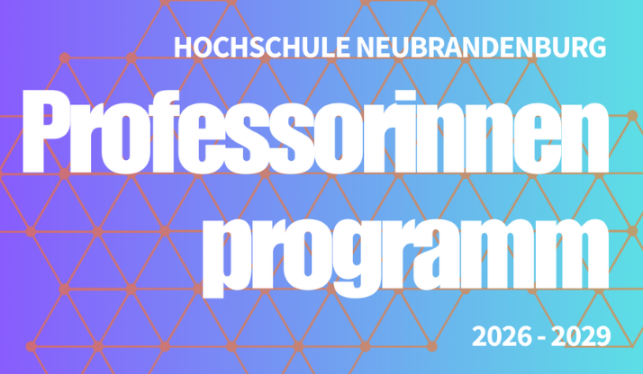 Professorinnenprogramm