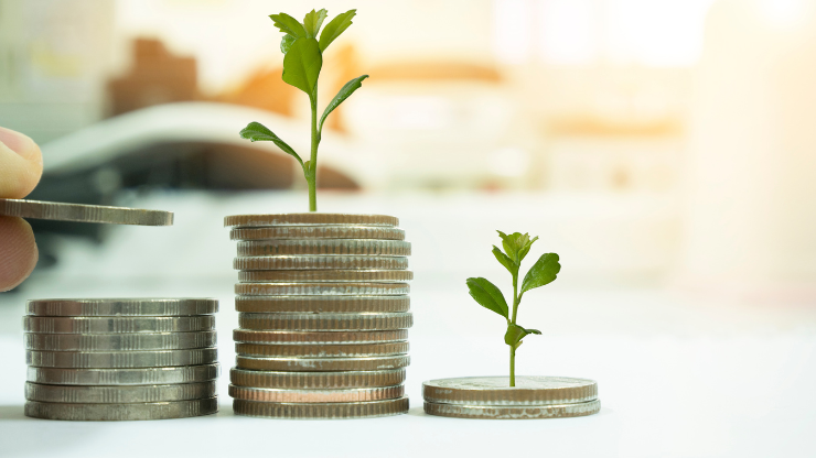 DAAD funding opportunities