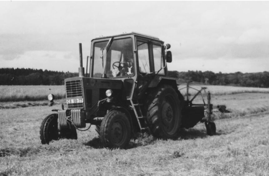 Von 1950 bis zur Wiedervereinigung