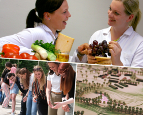 ein dreigeteiltes Bild, wleches aus drei Fotos besteht, die symbolisch für die drei neuen Studiengänge an der Hochschule Neubrandenburg stehen. Im oberen Drittel befinden sich zwei weiß gekleidete Frauen, die sich mit Lebensmitteln beschäftigen. Unten links arbeiten junge Studierende an der frischen Luft im Studiengang Soziale Arbeit. Rechts unten ist eine Nahaufnahme eines Stadtmodells zu erkennen.