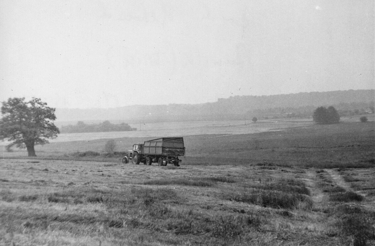 Ein Abriss zur Geschichte der Landwirtschaft in Klein Vielen