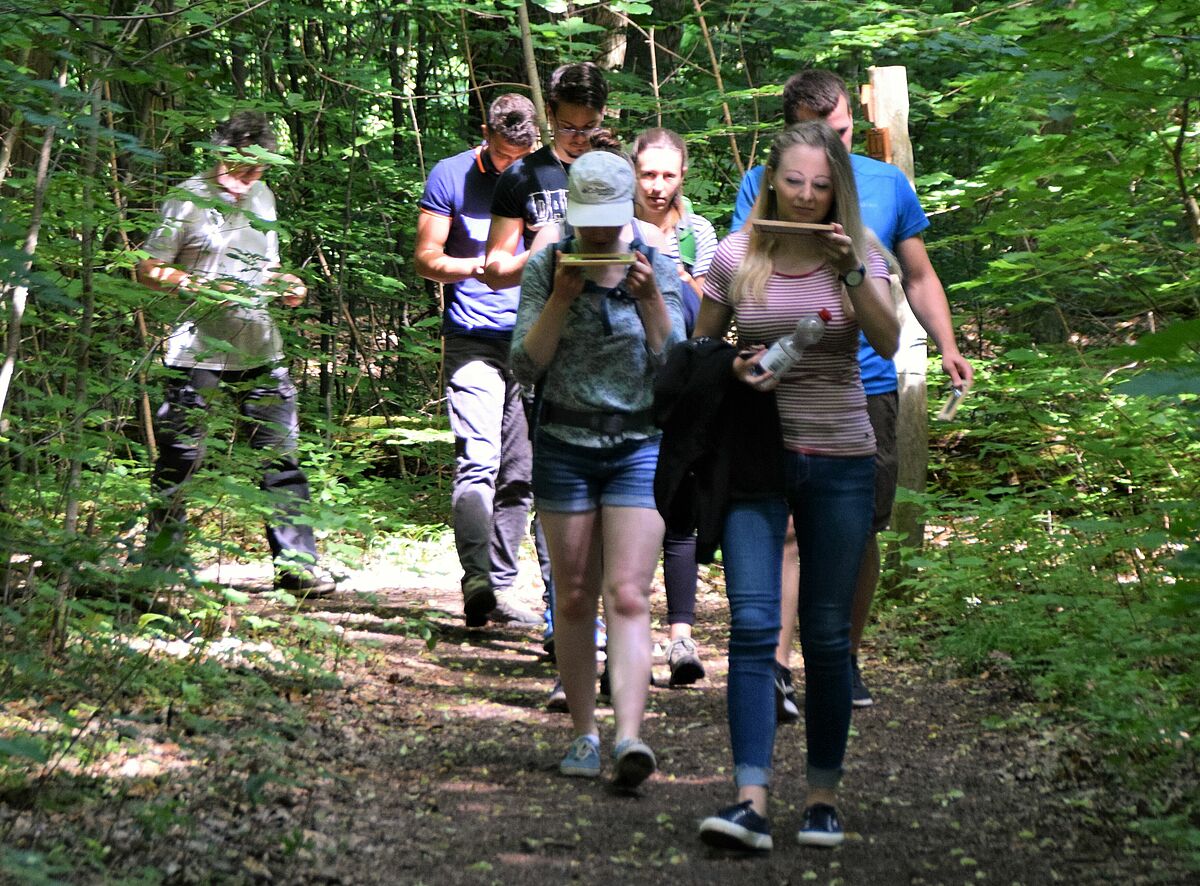 Zwischen Hainich-Nationalpark und Kali-Bergbau