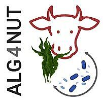 Alg4Nut