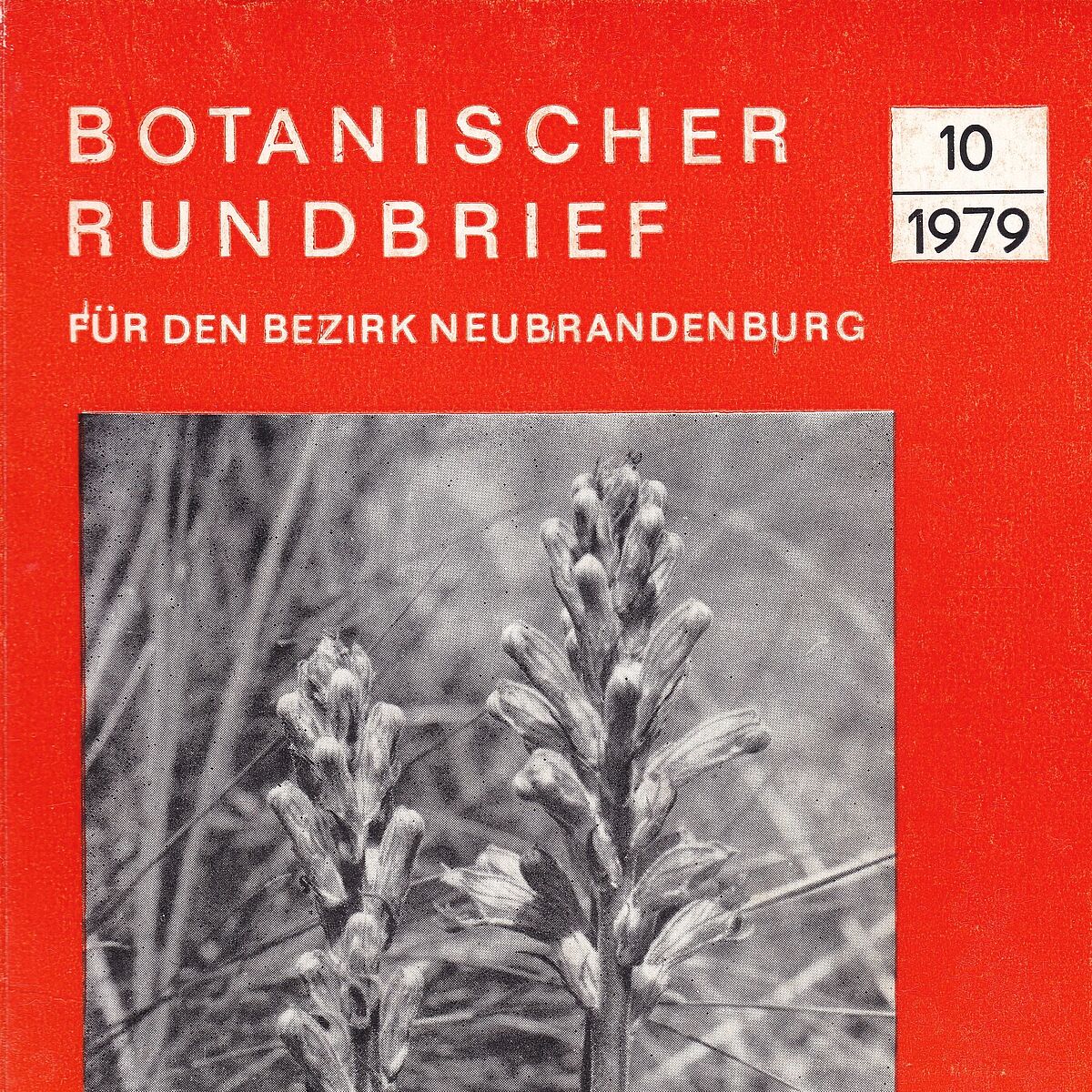 Botanischer Rundbrief, Bezirk NB