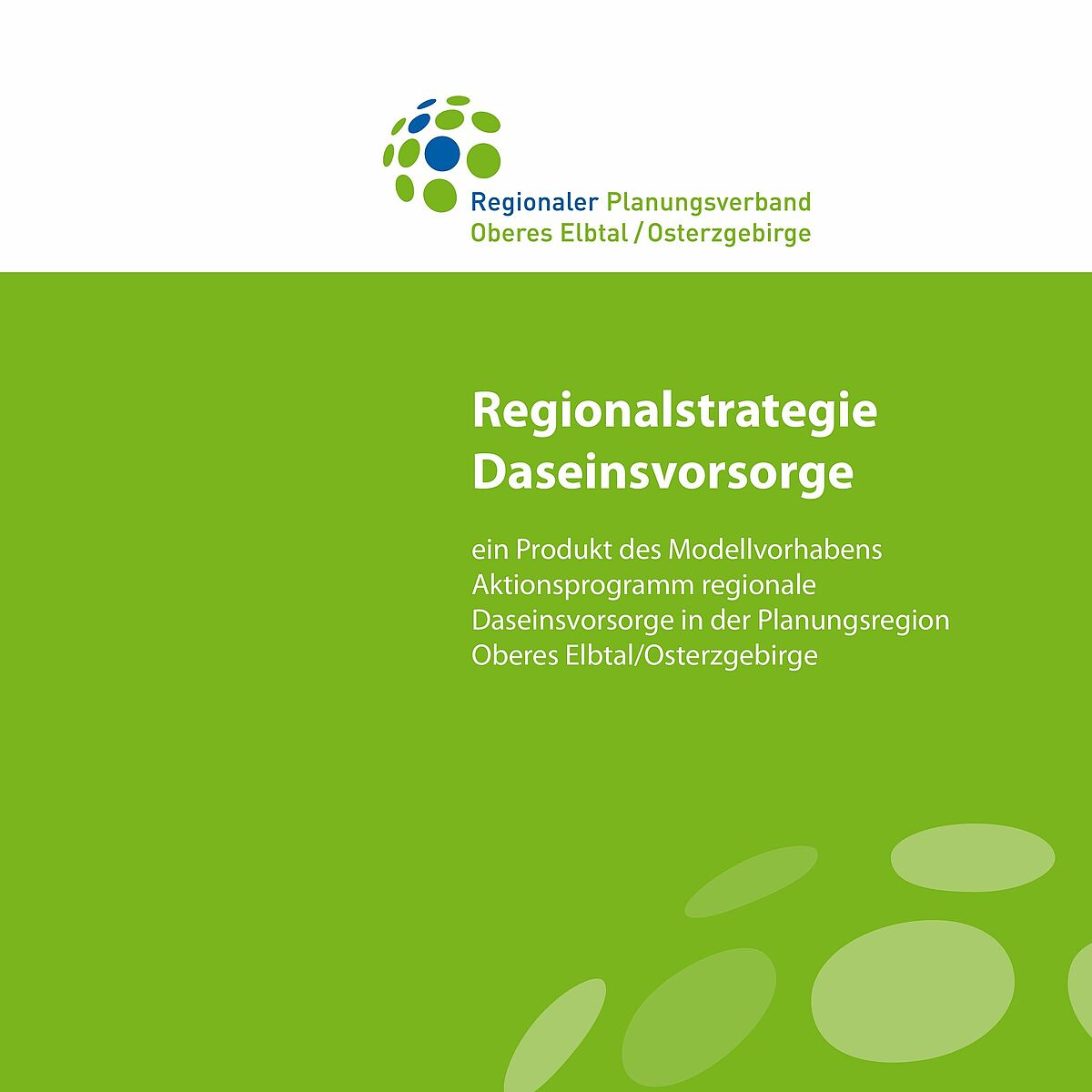 Regionalstrategie Daseinsvorsorge