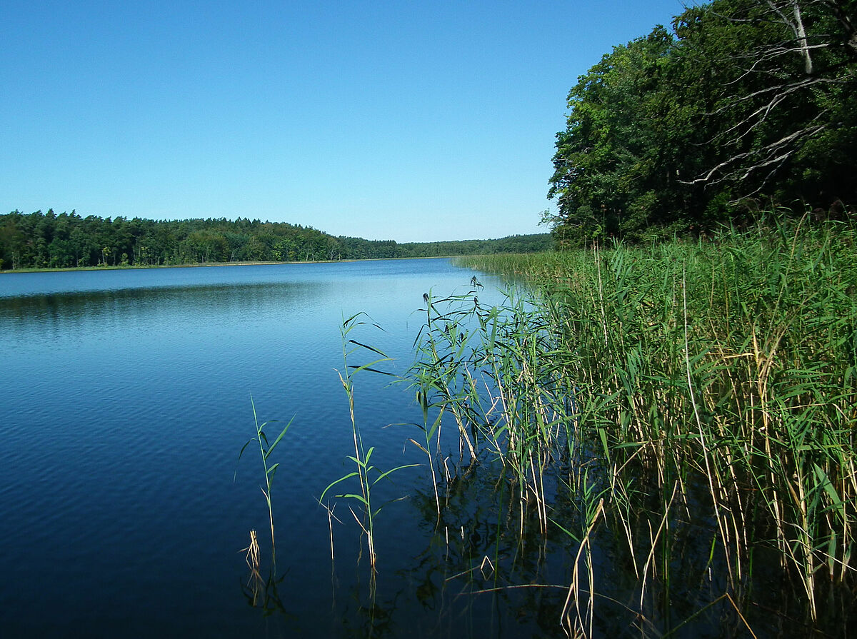 Der Mühlensee in Ankershagen im Müritznationalpark