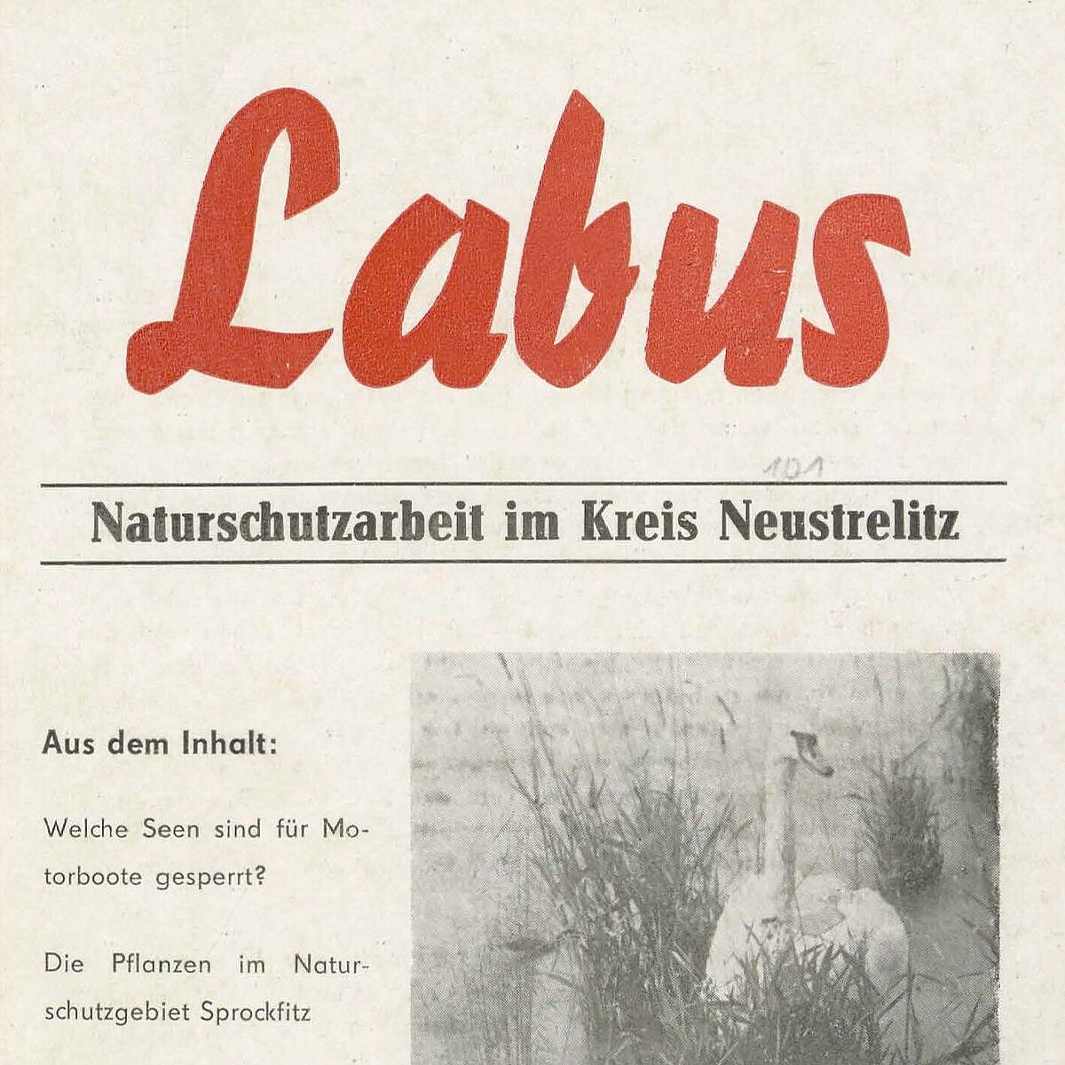 Labus - Naturschutzarbeit im Kreis Neustrelitz