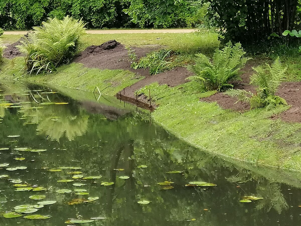 Uferverbau in Park von Branitz