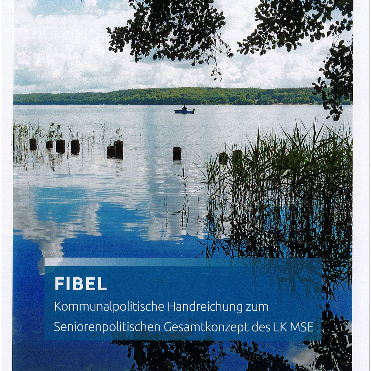 Seniorenpolitisches Gesamtkonzept Lk. MSE
