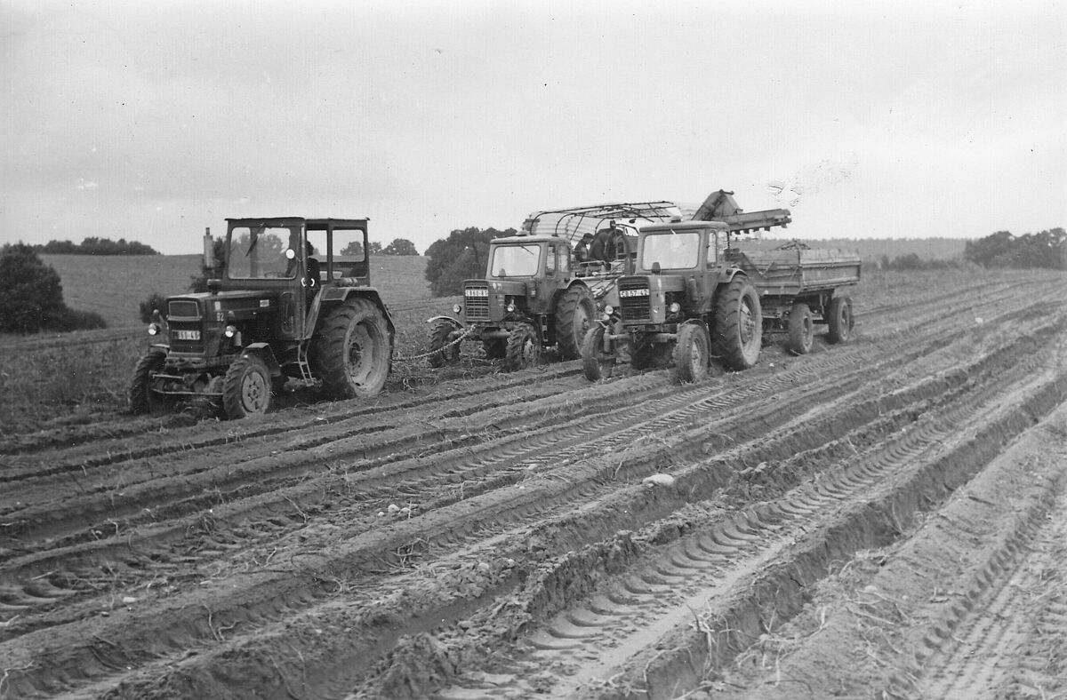 Merkmale der Industrialisierung der Landwirtschaft