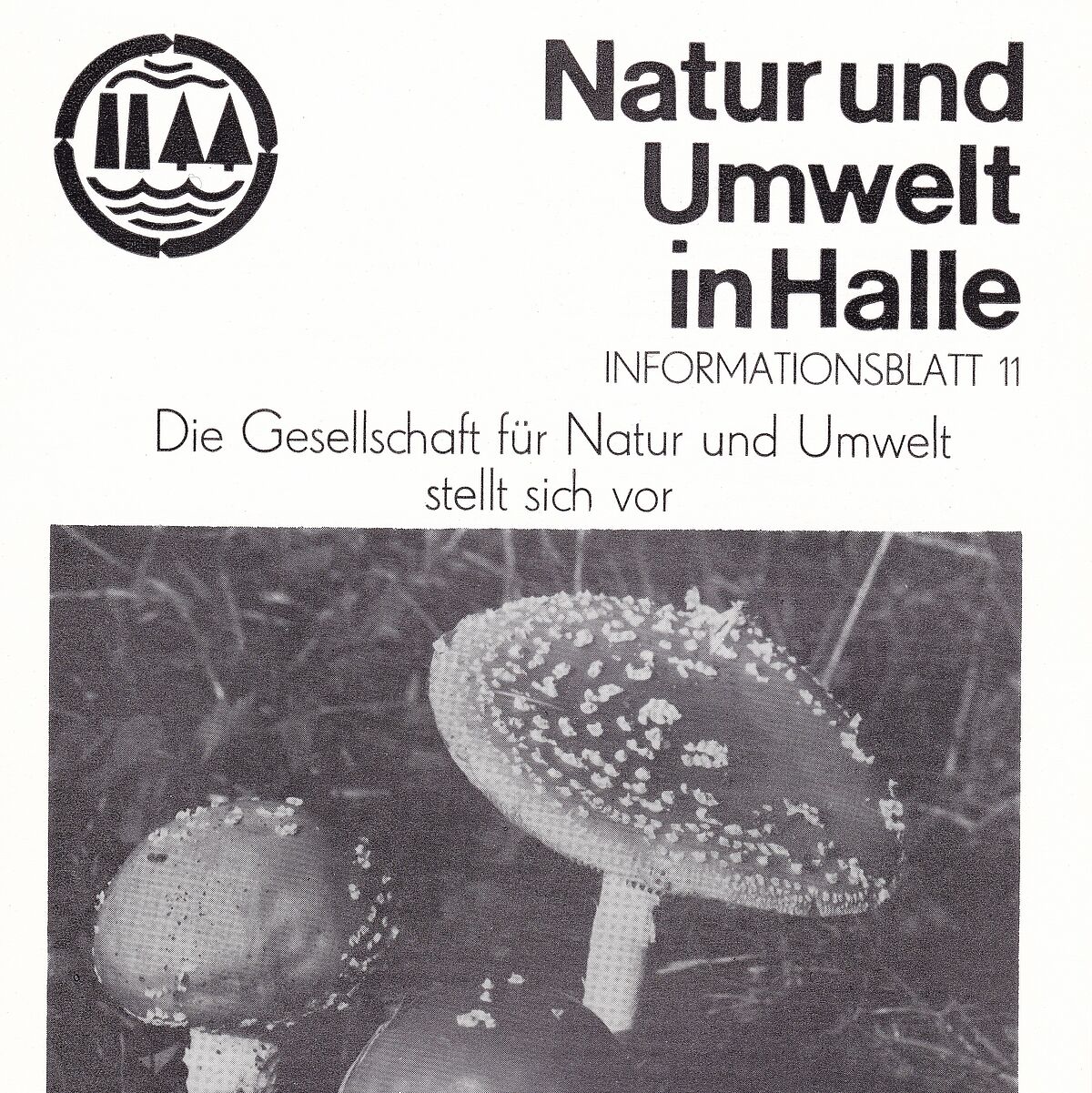 Natur und Umwelt in Halle. Infoblatt GNU