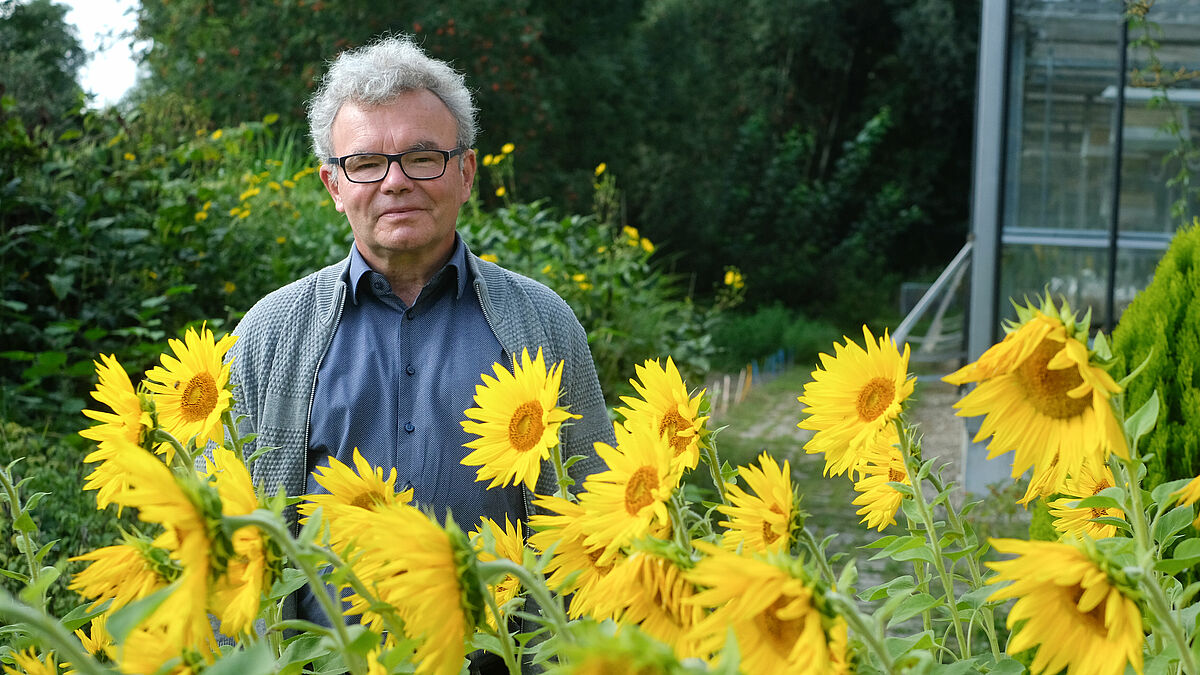 Prof. Dr. Theodor Fock