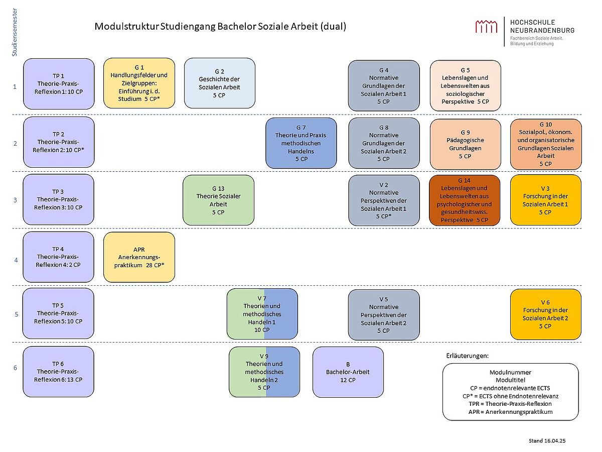 Graphische Übersicht des Studiengangs
