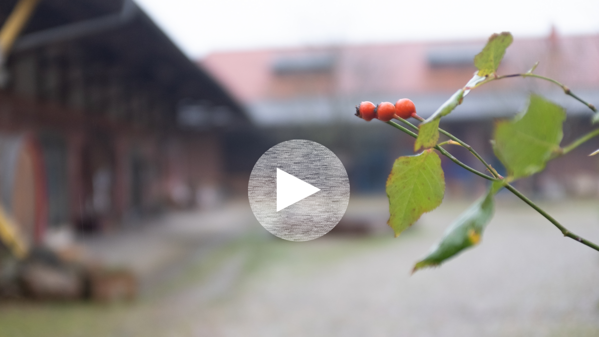 Gutes Leben gemeinschaftlich organisiert