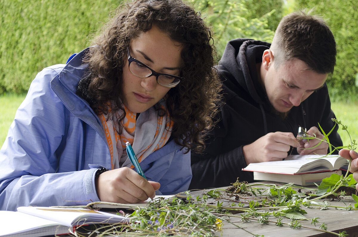 Studierende bei botanischen Bestimmungsübungen