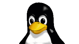 Linux (Ubuntu) Desktop Anleitung