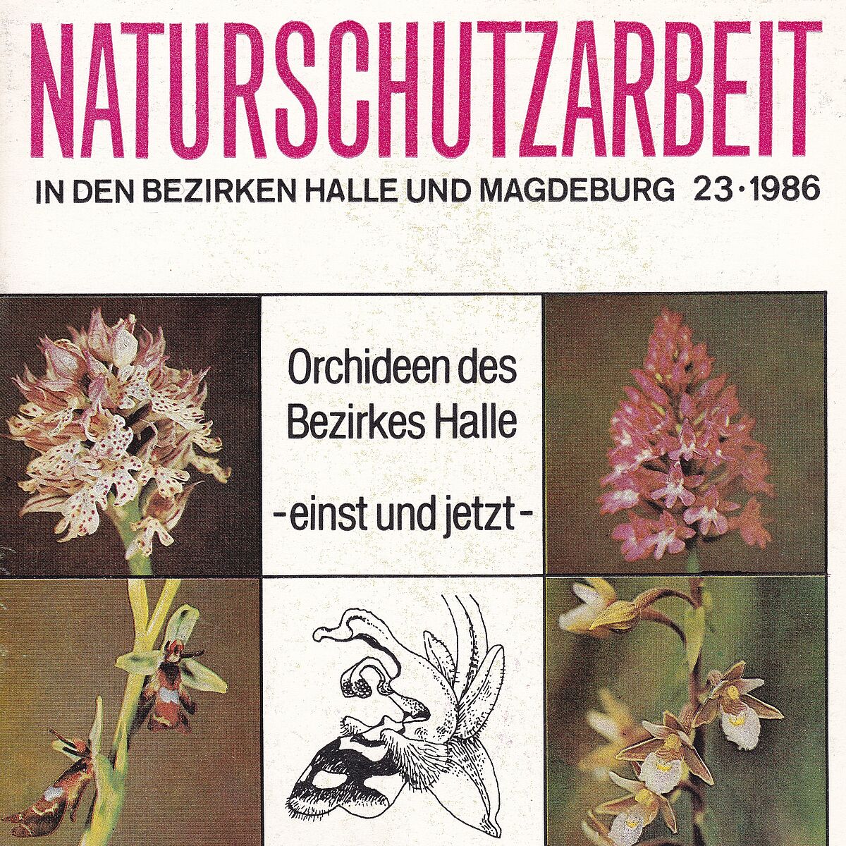 Naturschutzarbeit in den Bezirken ...