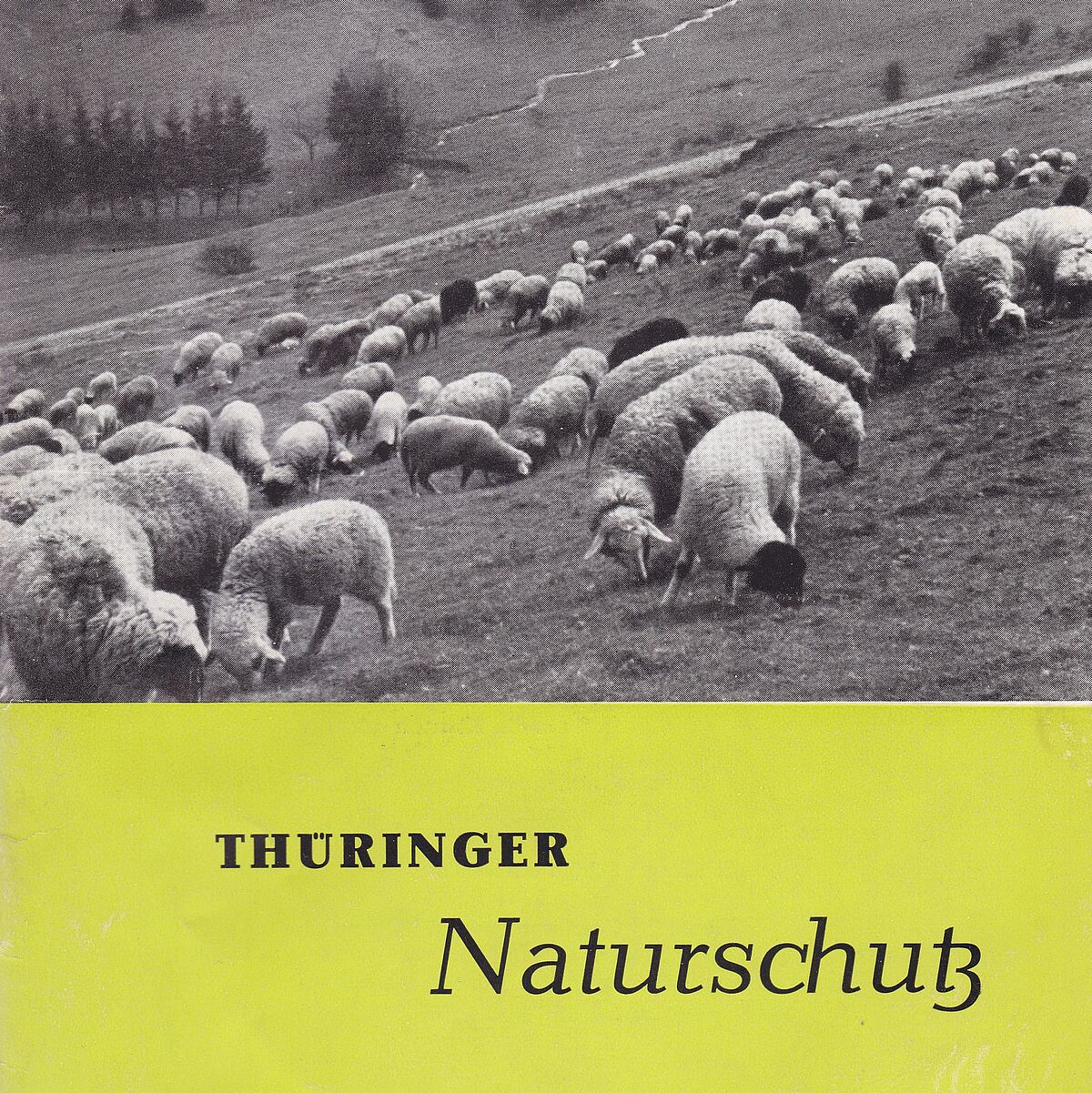 Thüringer Naturschutz