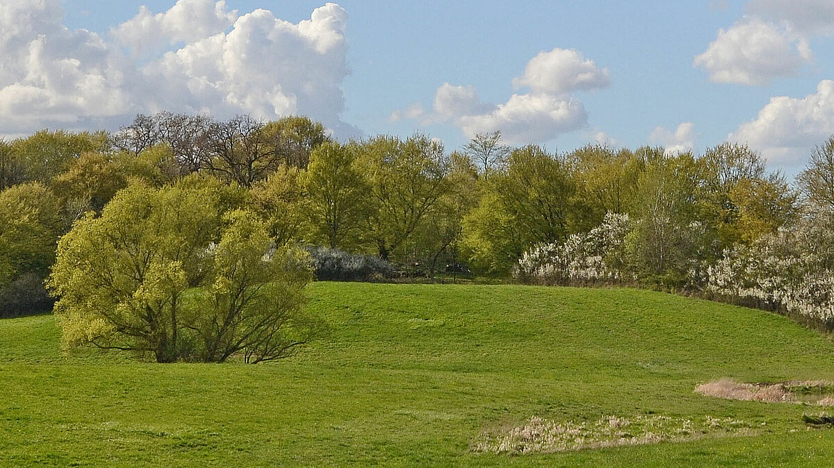 Landschaftsarchitektur