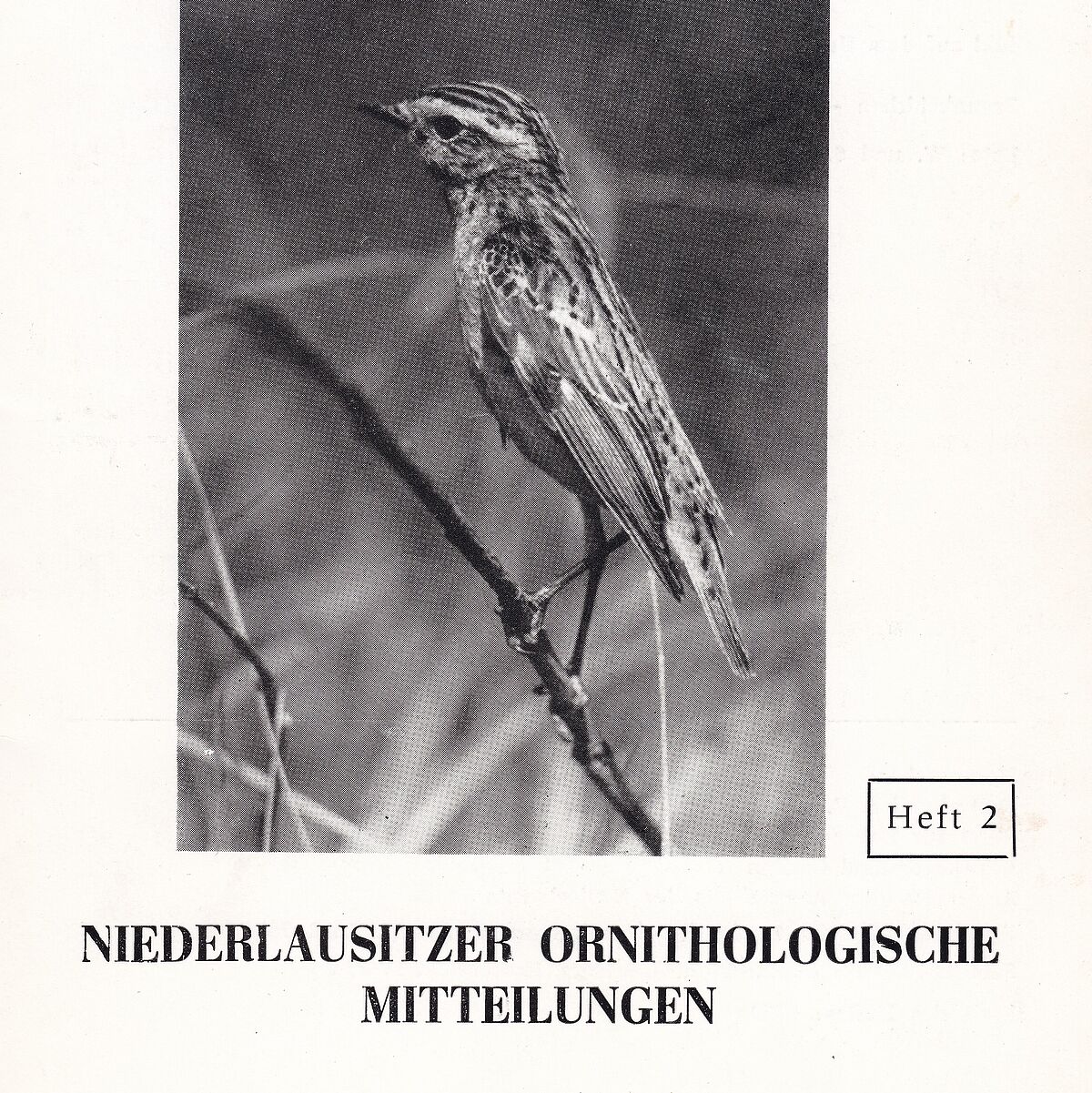 Niederlausitzer Ornithologische ...
