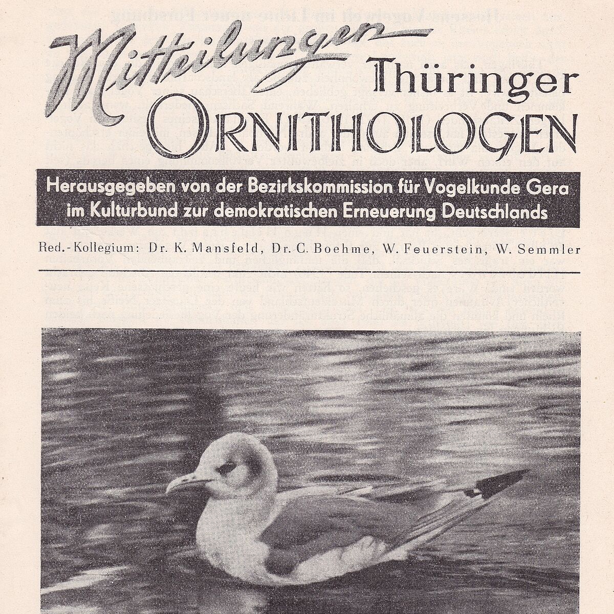 Mitteilungen Thüringer Ornithologen