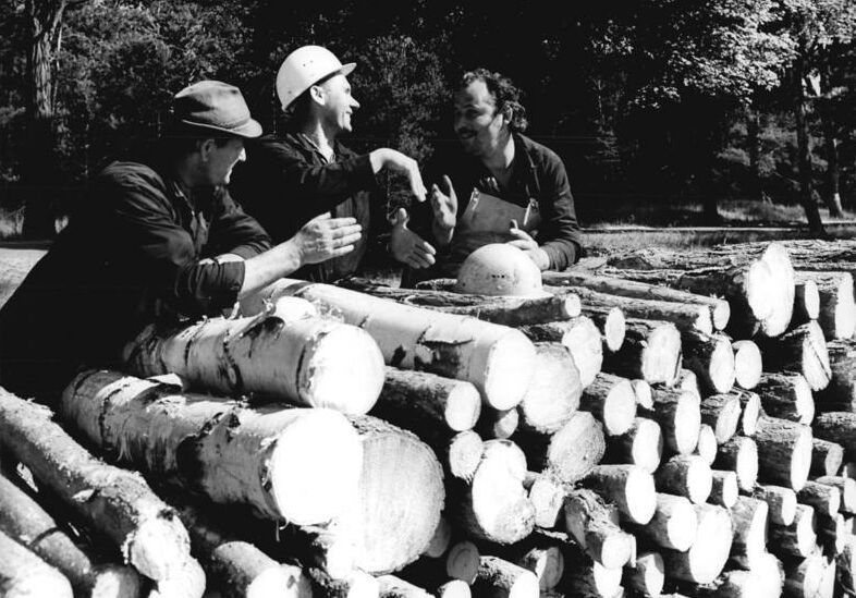 Geschichte der Forstwirtschaft