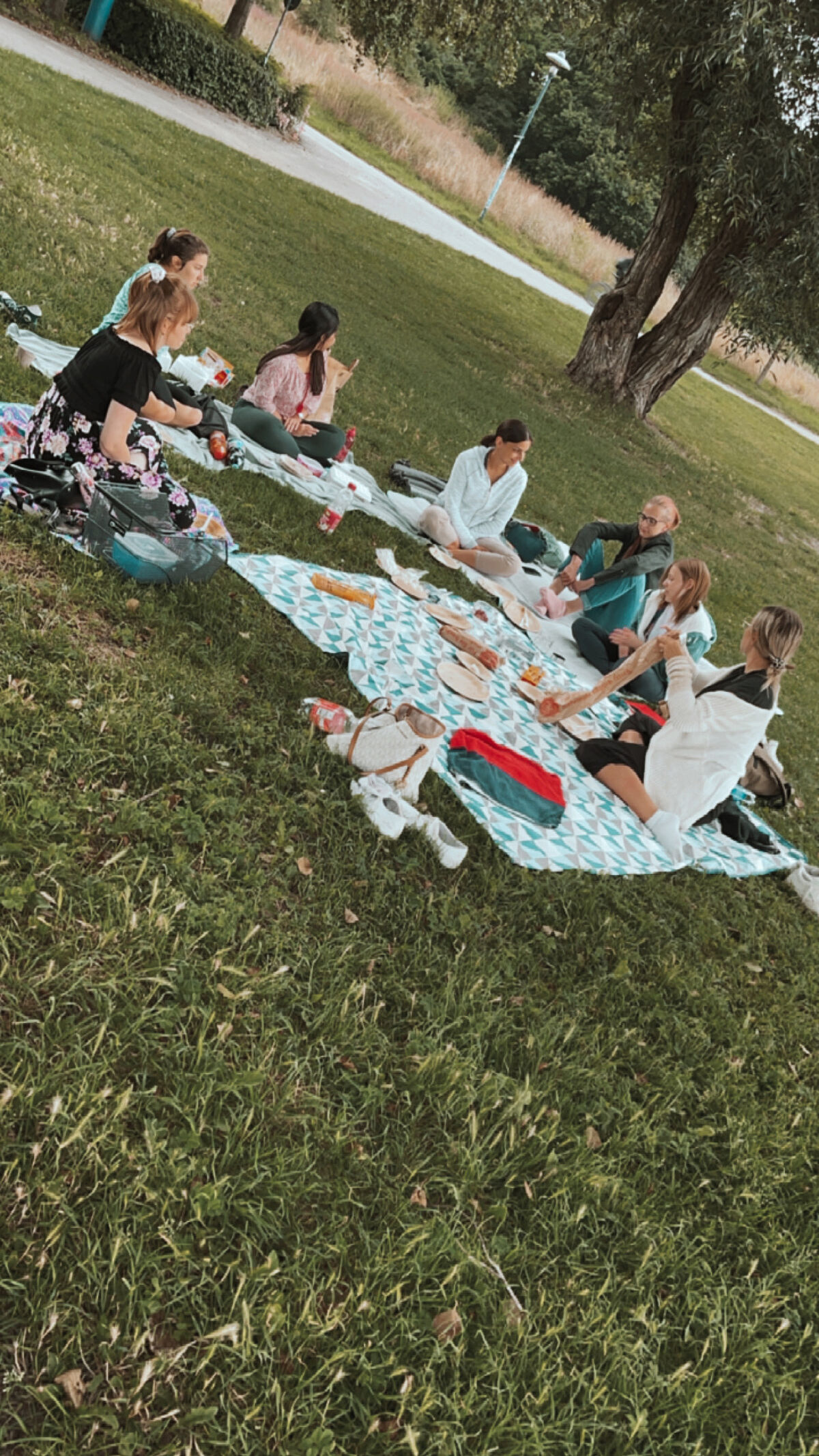 Picknick am Tollensesee