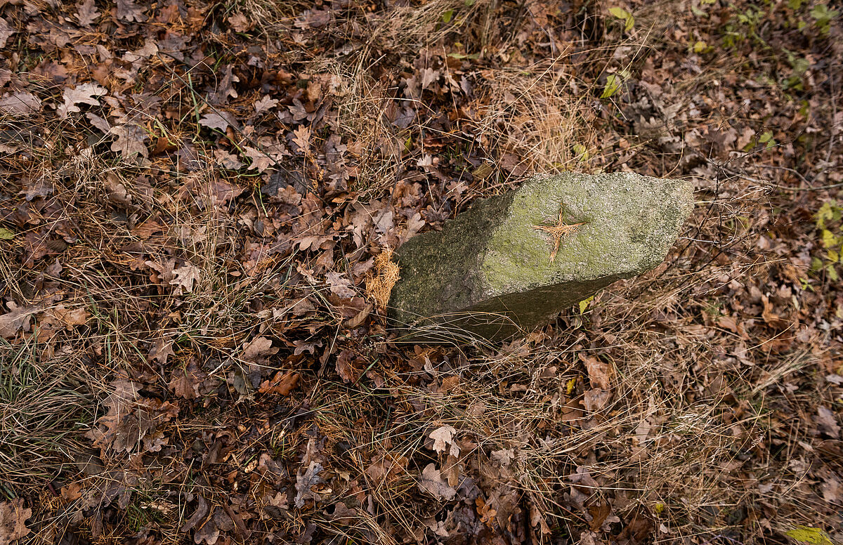 Landschafts- und Kulturlandschaftselemente