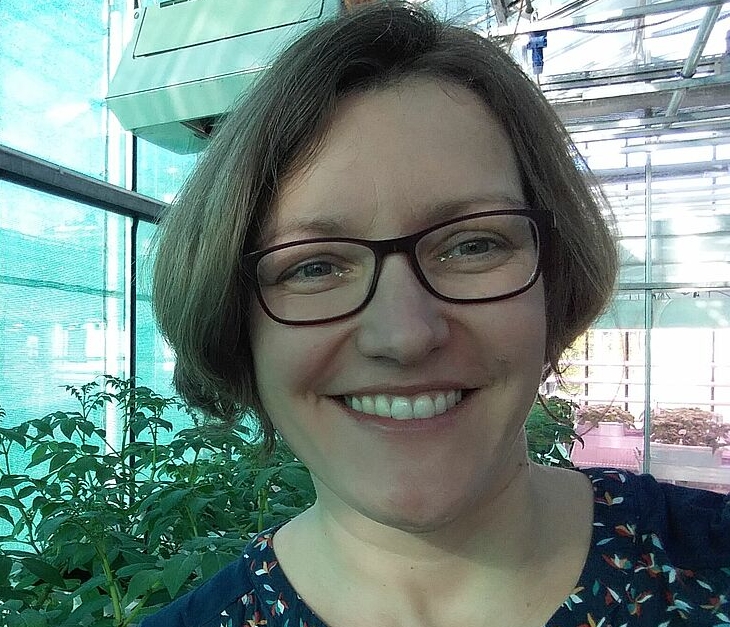 Prof.in Dr. Silvia Bachmann-Pfabe