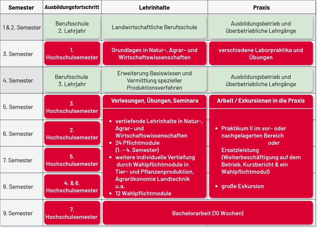 inhaltlicher Ablauf des dualen Studiums. Dabei wird der Ausbildungsfortschritt nach Jahren aufgeschlüsselt
