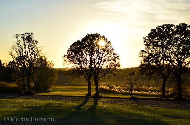 Foto  abendlicher Herbstimmung